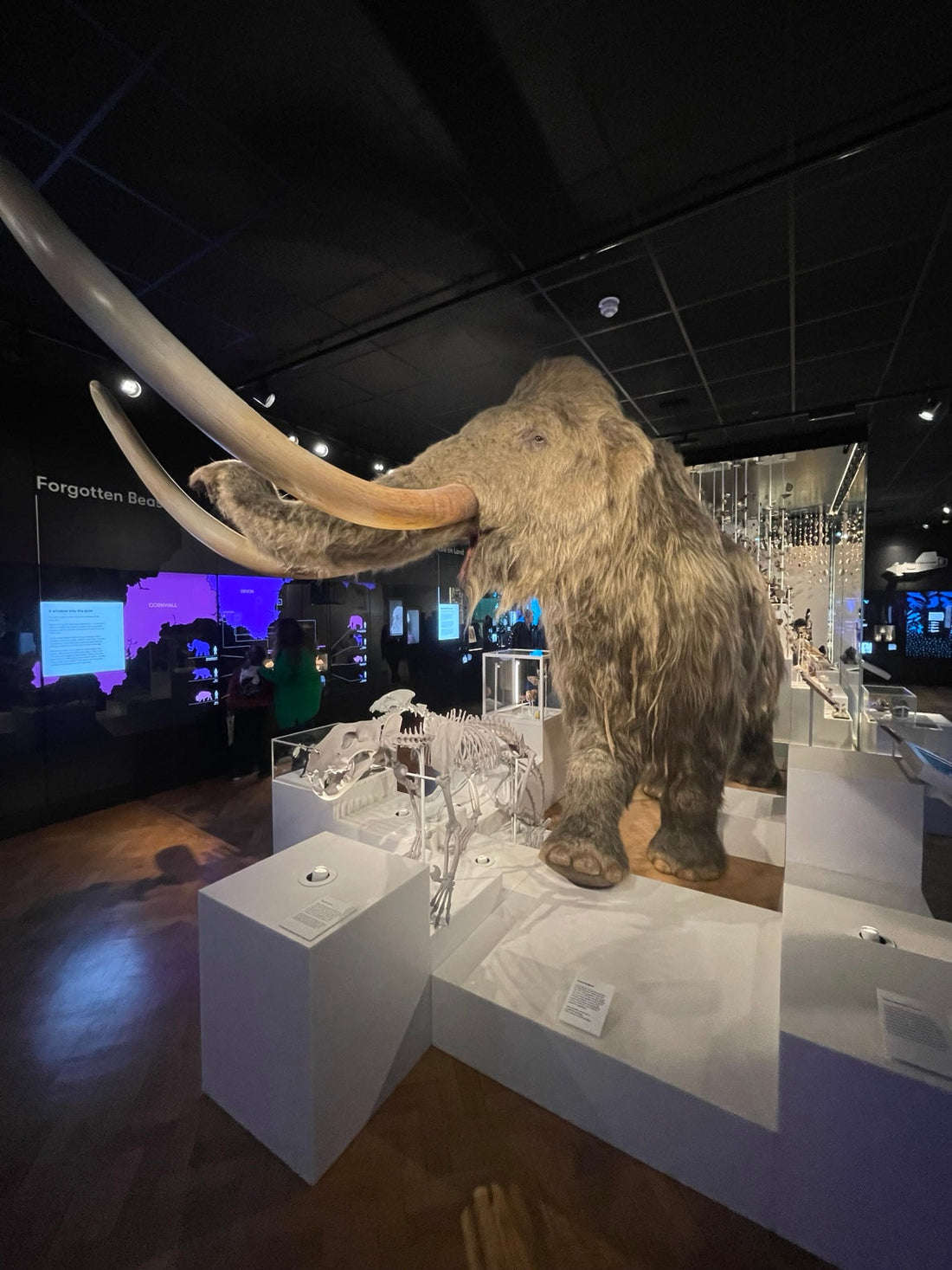 Mammoth display at The Box in Plymouth during our Friday visit